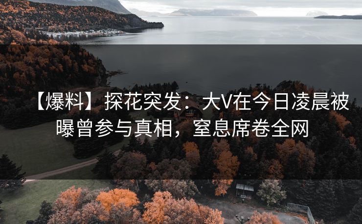 【爆料】探花突发：大V在今日凌晨被曝曾参与真相，窒息席卷全网