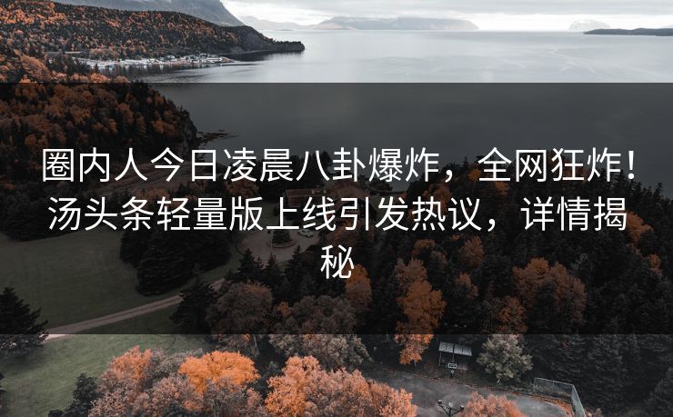 圈内人今日凌晨八卦爆炸，全网狂炸！汤头条轻量版上线引发热议，详情揭秘