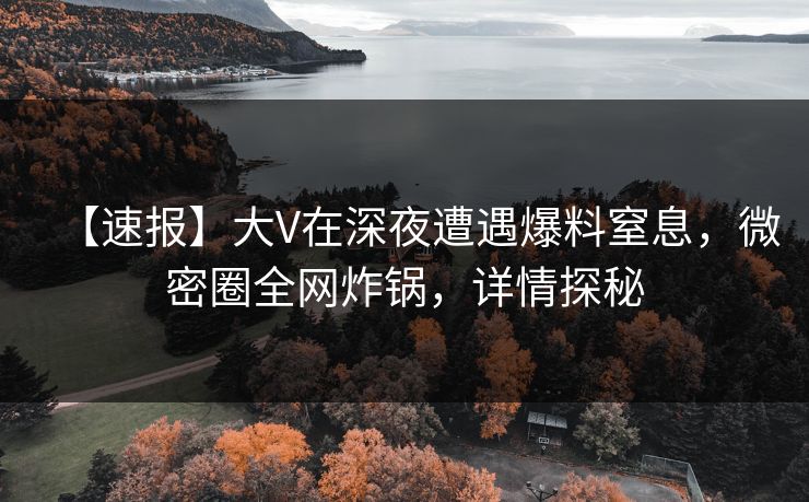 【速报】大V在深夜遭遇爆料窒息，微密圈全网炸锅，详情探秘