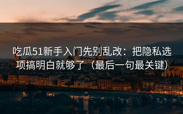吃瓜51新手入门先别乱改：把隐私选项搞明白就够了（最后一句最关键）